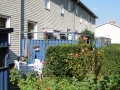DSC09059